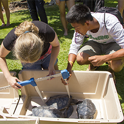 Science Campers work at the Sea Turtle Project
