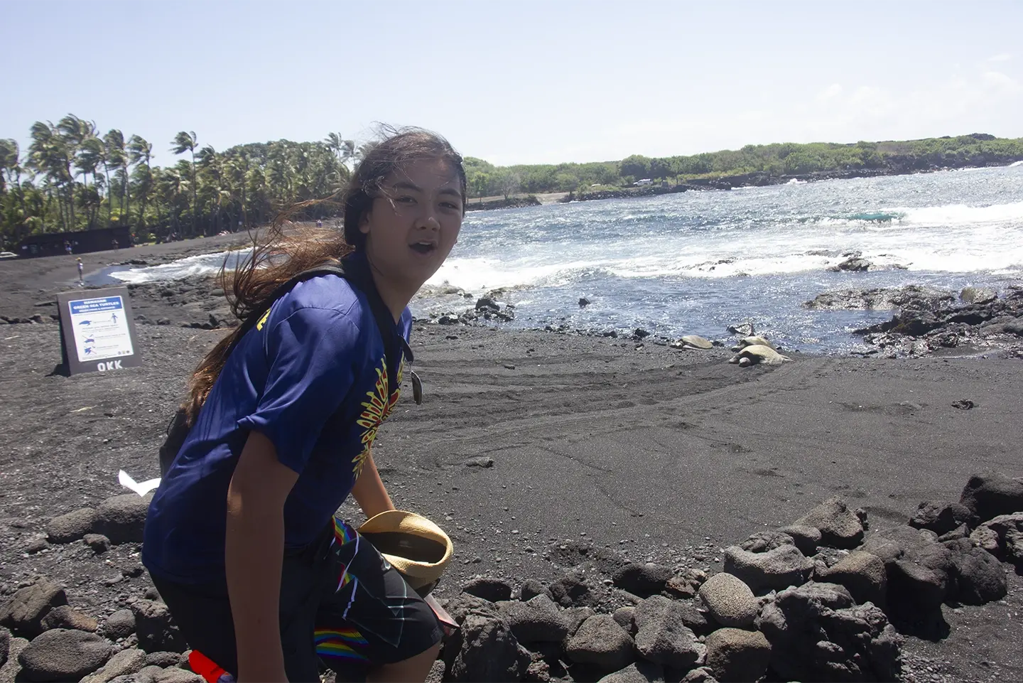 Sea turtles bask on a black sand beach